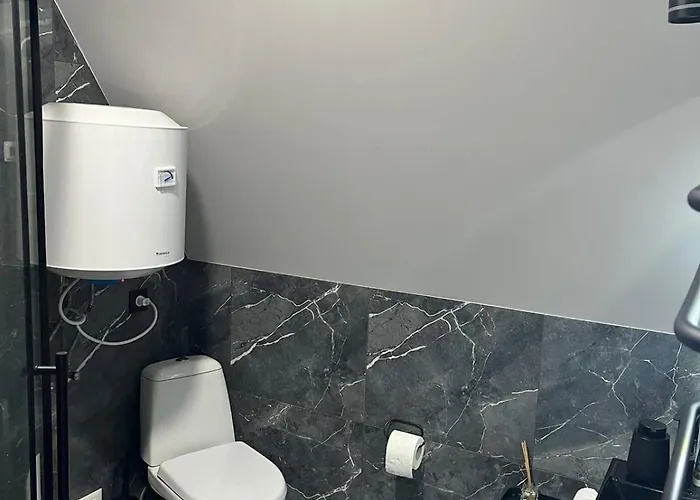 серце карпат Skole